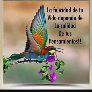 Meet your Posher, Maria